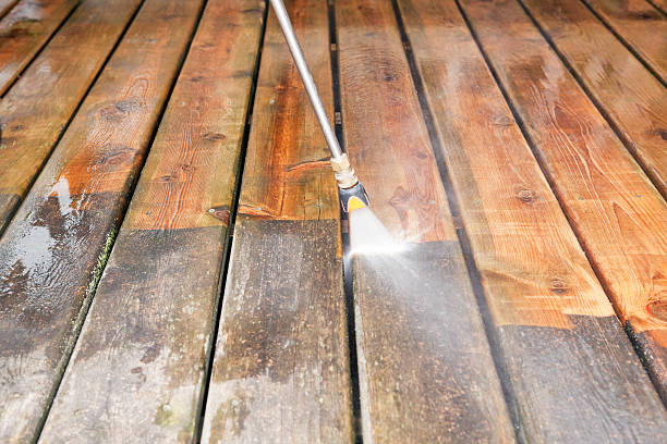 Best Fence Cleaning  in Rockwood, MI